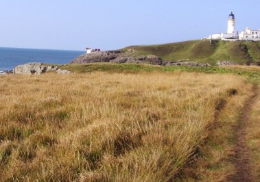 grassy_cliff_top_-_geograph-org-uk_-_1478902